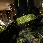 Study: Broccoli sprouts are great for ulcer relief Study: Broccoli sprouts are great for ulcer relief