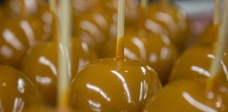 Eating unrefrigerated caramel apples could give you Listeria food poisoning Eating unrefrigerated caramel apples could give you Listeria food poisoning