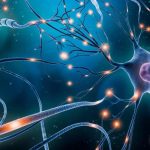 New study furthers understanding of how memories are formed New study furthers understanding of how memories are formed