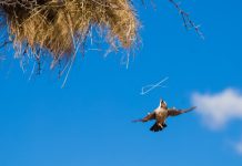 Study finds hard work makes you old and sick Study finds hard work makes you old and sick