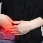 The appendix plays an significant role in digestive health The appendix plays an significant role in digestive health