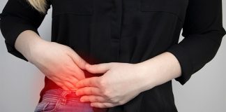 The appendix plays an significant role in digestive health The appendix plays an significant role in digestive health