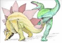 First fossil evidence found that proves stegosaurs killed predators First fossil evidence found that proves stegosaurs killed predators