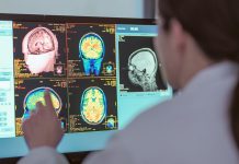 Researchers find that curiosity makes the brain learn better Researchers find that curiosity makes the brain learn better