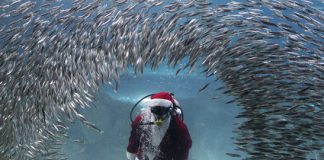 Study shows all major religions developed as a result of affluence Study shows all major religions developed as a result of affluence