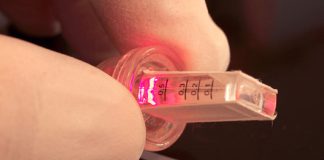 Swiss researchers develop first thought-controlled gene regulation system Swiss researchers develop first thought-controlled gene regulation system