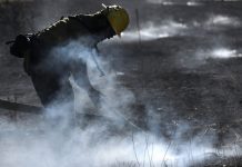 The need for humans to coexist with wildfires is supported by new study The need for humans to coexist with wildfires is supported by new study