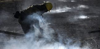 The need for humans to coexist with wildfires is supported by new study The need for humans to coexist with wildfires is supported by new study