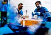 Chemists devise BPA degradation with visible light Chemists devise BPA degradation with visible light