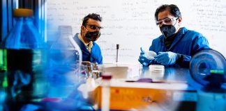 Chemists devise BPA degradation with visible light Chemists devise BPA degradation with visible light