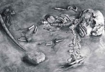 DNA study connects all Native Americans to an ancient common ancestor DNA study connects all Native Americans to an ancient common ancestor