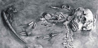 DNA study connects all Native Americans to an ancient common ancestor DNA study connects all Native Americans to an ancient common ancestor