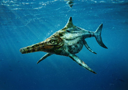 First Scots ichthyosaur discovered on Isle of Skye