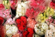 Frenchman claims to have invented a pill that makes flatulence smell like roses Frenchman claims to have invented a pill that makes flatulence smell like roses