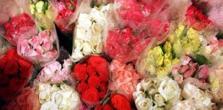 Frenchman claims to have invented a pill that makes flatulence smell like roses Frenchman claims to have invented a pill that makes flatulence smell like roses