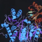 Luciferase speeds up disease detection Luciferase speeds up disease detection