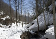 NASA study predicts water shortages for one-third of the Earth NASA study predicts water shortages for one-third of the Earth