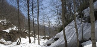 NASA study predicts water shortages for one-third of the Earth NASA study predicts water shortages for one-third of the Earth