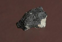New study shows carbon in Martian meteorite to be ‘likely of biological origin’ New study shows carbon in Martian meteorite to be 'likely of biological origin'