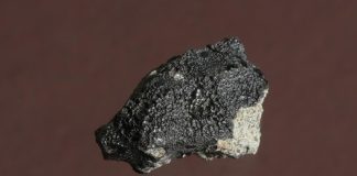 New study shows carbon in Martian meteorite to be ‘likely of biological origin’ New study shows carbon in Martian meteorite to be 'likely of biological origin'