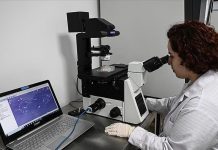 Science may have developed a cure for bigotry Science may have developed a cure for bigotry