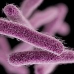Superbugs found stronger than previously thought Superbugs found stronger than previously thought