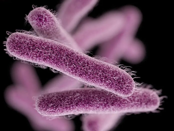 Superbugs found stronger than previously thought