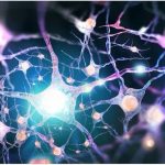 The ability to repair damaged nerve cells found in a molecule The ability to repair damaged nerve cells found in a molecule