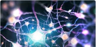 The ability to repair damaged nerve cells found in a molecule The ability to repair damaged nerve cells found in a molecule