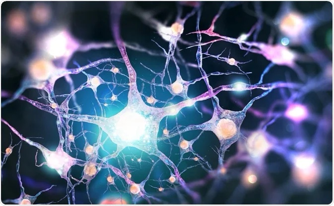 The ability to repair damaged nerve cells found in a molecule