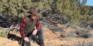 Tool study shows language began over two million years ago Tool study shows language began over two million years ago