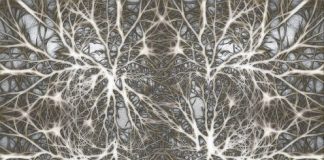 Arts, crafts and computers can help preserve your memory Arts, crafts and computers can help preserve your memory