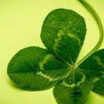 Psychiatrists reveal the low down on lucky charms Psychiatrists reveal the low down on lucky charms