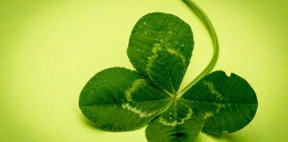 Psychiatrists reveal the low down on lucky charms Psychiatrists reveal the low down on lucky charms