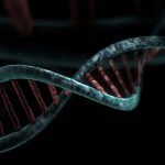 Study: Genetic marker found for autism Study: Genetic marker found for autism