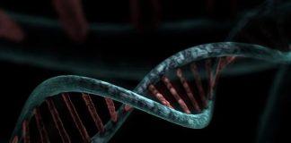 Study: Genetic marker found for autism Study: Genetic marker found for autism