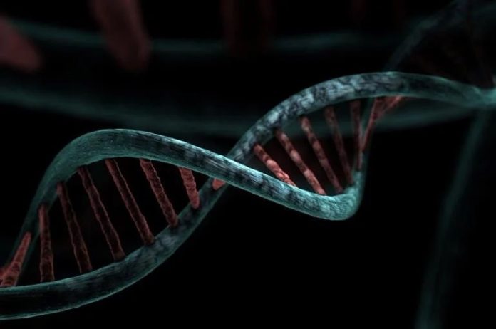 Study: Genetic marker found for autism