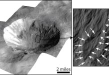 Water on Vesta? Gullies suggest wet debris flows in the past, study finds Water on Vesta? Gullies suggest wet debris flows in the past, study finds