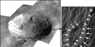 Water on Vesta? Gullies suggest wet debris flows in the past, study finds Water on Vesta? Gullies suggest wet debris flows in the past, study finds