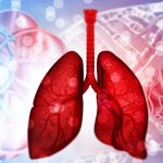 Cystic fibrosis study shows bacterial evolution for the first time Cystic fibrosis study shows bacterial evolution for the first time