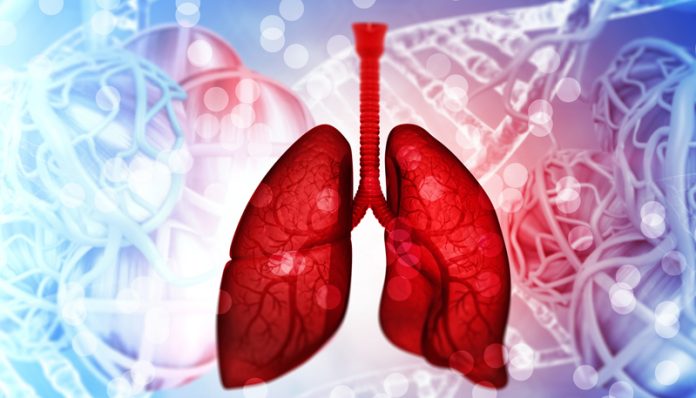 Cystic fibrosis study shows bacterial evolution for the first time