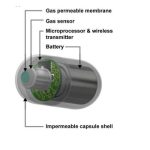 Electronic capsule prevents gastrointestinal disease Electronic capsule prevents gastrointestinal disease