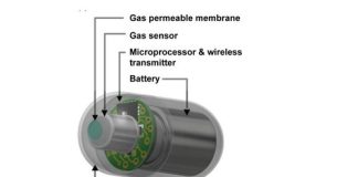 Electronic capsule prevents gastrointestinal disease Electronic capsule prevents gastrointestinal disease