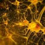 New anti-inflammatory stops multiple sclerosis progression New anti-inflammatory stops multiple sclerosis progression