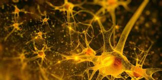 New anti-inflammatory stops multiple sclerosis progression New anti-inflammatory stops multiple sclerosis progression