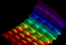 Physicists skin Schrodinger’s Cat and see light as a particle and a wave Physicists skin Schrodinger’s Cat and see light as a particle and a wave