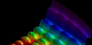 Physicists skin Schrodinger’s Cat and see light as a particle and a wave Physicists skin Schrodinger’s Cat and see light as a particle and a wave