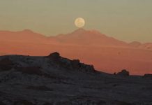 Recent evolution made some Peruvians immune to arsenic Recent evolution made some Peruvians immune to arsenic