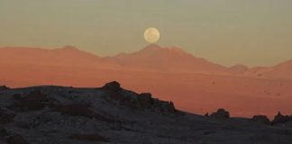 Recent evolution made some Peruvians immune to arsenic Recent evolution made some Peruvians immune to arsenic