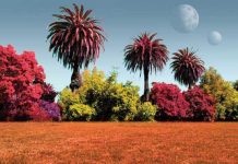 Scientists create catalog of earthly life forms to help search for alien biology Scientists create catalog of earthly life forms to help search for alien biology